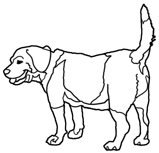 線画　犬の画像9