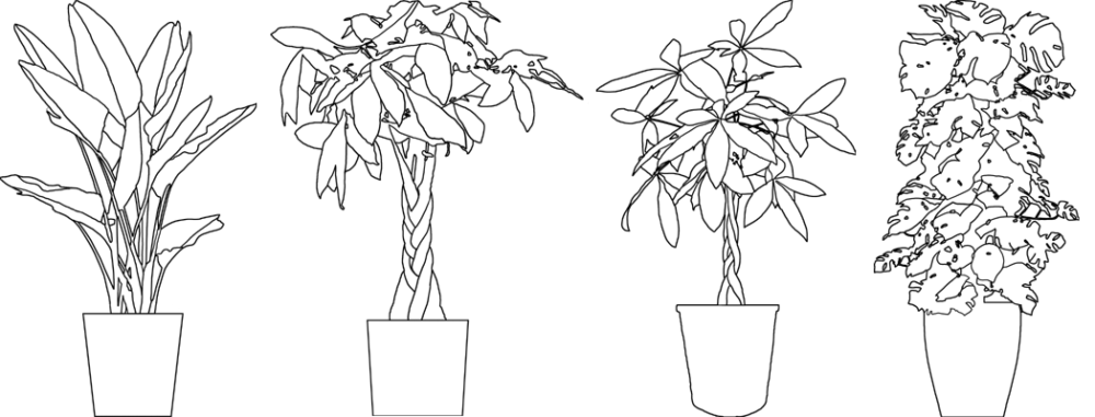 線画観葉植物1