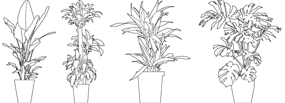 線画観葉植物2