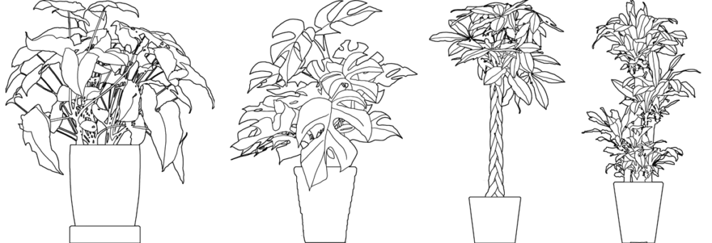 線画観葉植物3